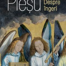 Despre ingeri - Andrei Plesu