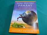 LEAC PENTRU PĂM&Acirc;NT / SANDRA INGERMAN / 2010 * 33
