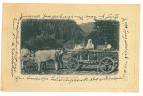 5468 - ETHNIC, Peasants in the oxcart - old postcard, CENSOR - used - 1917