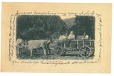 5468 - ETHNIC, Peasants in the oxcart - old postcard, CENSOR - used - 1917, Circulata, Printata