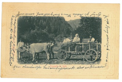 5468 - ETHNIC, Peasants in the oxcart - old postcard, CENSOR - used - 1917 foto