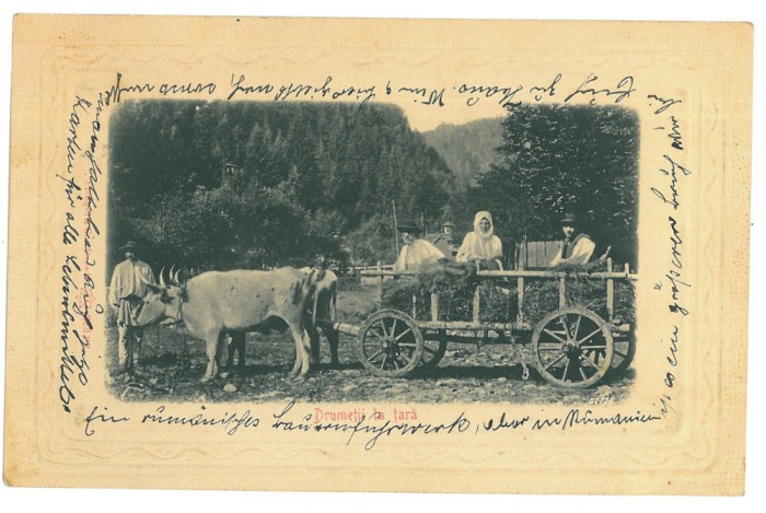 5468 - ETHNIC, Peasants in the oxcart - old postcard, CENSOR - used - 1917