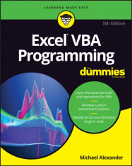 Excel VBA Programming for Dummies foto