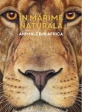 In marime naturala. Animale din Africa - Roxana Pogonici, Holger Haag