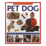 How to look after your pet dog