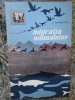 Migratiile Animalelor, G. Bogoescu, 1961, Zoologie, S.R.S.C., 55 pagini