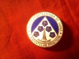 Insigna militara - Spartachiada de Iarna a Armatelor Prietene Romania 1967 , d=3cm