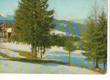 CPI B 11282 CARTE POSTALA - IARNA LA PREDEAL, Circulata, Fotografie