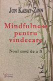 Mindfulness pentru vindecare Noul mod de a fi