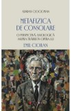 Metafizica de consolare - Adrian Ciocioman