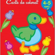 Carte de colorat 4-5 ani