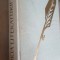 Istoria literaturii engleze- A.Anixt