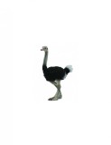 Figurina Strut L Collecta