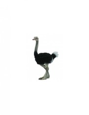 Figurina Strut L Collecta
