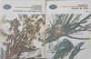 Hyperion, Moartea lui Empedocle, Imnuri si Ode vol. 1-2 - Holderlin, Minerva 1976, BPT, Romana, Beletristica