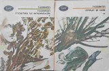 Hyperion, Moartea lui Empedocle, Imnuri si Ode vol. 1-2 - Holderlin, Minerva 1976, BPT, Romana, Beletristica