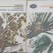 HYPERION. MOARTEA LUI EMPEDOCLE. IMNURI SI ODE VOL.1-2-HOLDERLIN-262087