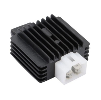 Regulator MTD, Zongshen XP620 (17.6 CP) foto