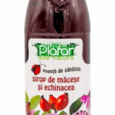 Sirop de macese si echinacea, 500ml, Plafar