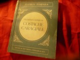 131. Fl.Tornea - Un artist cetatean - Costache Caragiale - Ed.1954 ESPLA , 166 pag