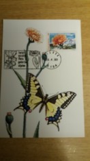 MAXIME - TEMATICA FLORA - PRIMA ZI A EMISIUNII SI EXPOZITII foto