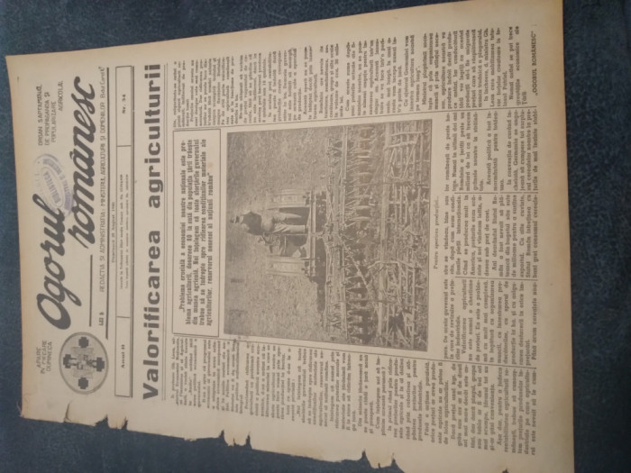 REVISTA OGORUL ROMANESC 25 AUGUST 1940