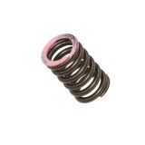 Arc supapa admisie Yamaha YZF 250 19- 20 WRF 250 20