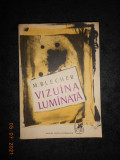 MAX BLECHER - VIZUINA LUMINATA. CORP TRANSPARENT. PARIS SI ALTE POEME