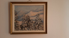 Tablou pictura in ulei pe panza; autor: maria Chilian; Dimensiuni: 60x50 foto