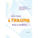 A trauma - Es&eacute;ly az &eacute;bred&eacute;sre - S&aacute;rv&aacute;ri Gy&ouml;rgy