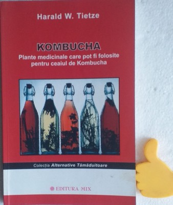 Kombucha Harald W. Tietze foto