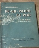 LITR5 Literatura. Pe-un picior de plai - Tudor Blas - Folclor Poetic