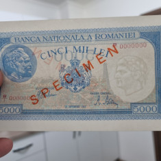 bancnota romania 5000 lei 1943 specimen