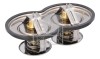 FEBI BILSTEIN 10054 termostat,lichid racire