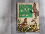 Fauna si flora campiei. Mic determinator de Ion Radulescu,Valeria Voican