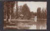 Carte Postala Craiova - Vedere din Parc, Necirculata, Fotografie