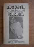 Augustin Buzura - Drumul cenusii