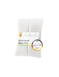 Burete curatare suprafete interioare Chemicalworkz Interior Cleaning Scrub Pad Ergo