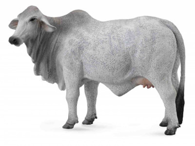Vaca Brahman L - Animal figurina foto