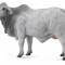 Vaca Brahman L - Animal figurina