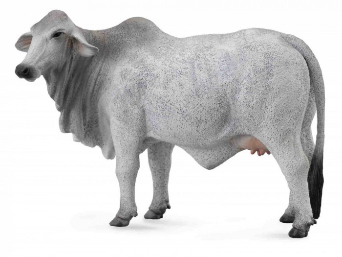 Vaca Brahman L - Animal figurina
