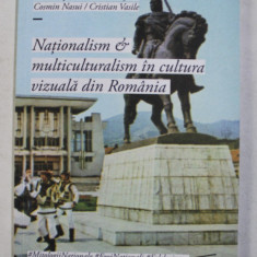 Nationalism multiculturalism in cultura vizuala din Romania A. Majuru