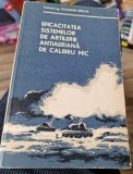Eficacitatea sistemelor de artilerie antiaeriana de calibru mic - Octavian Ureche