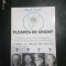 Floarea de argint-Pavel Corut