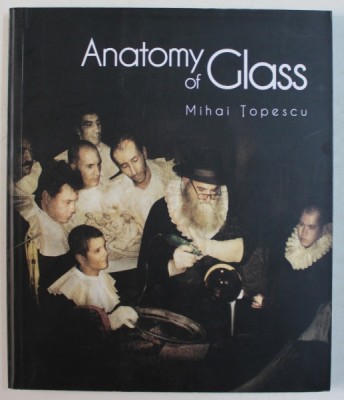 ANATOMY OF GLASS de MIHAI TOPESCU , 2010 foto