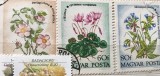 Timbre (Maghyar) Ungaria Serie Flora Flori