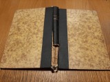 EXTRAORDINARELOR AVENTURI ALE LUI JOE KING - Descriere