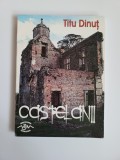 Cumpara ieftin Oltenia Titu Dinut, Castelanii, Editura MJM, Craiova, 2006