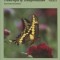 Regression Hypnotherapy: Transcripts of Transformation, Volume 1, Second Edition