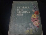 Al. Borza - Florile din gradina mea - 27 planse color - 1960 ( S )